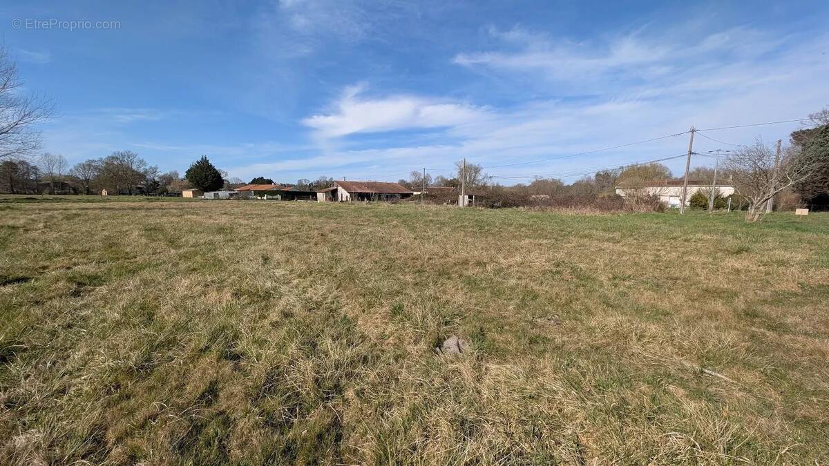 Terrain à REIGNAC