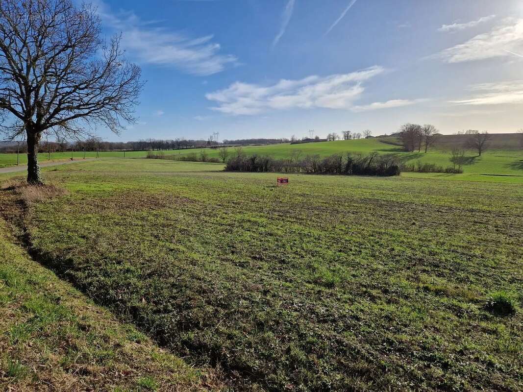 Terrain à SAINT-CIRQ