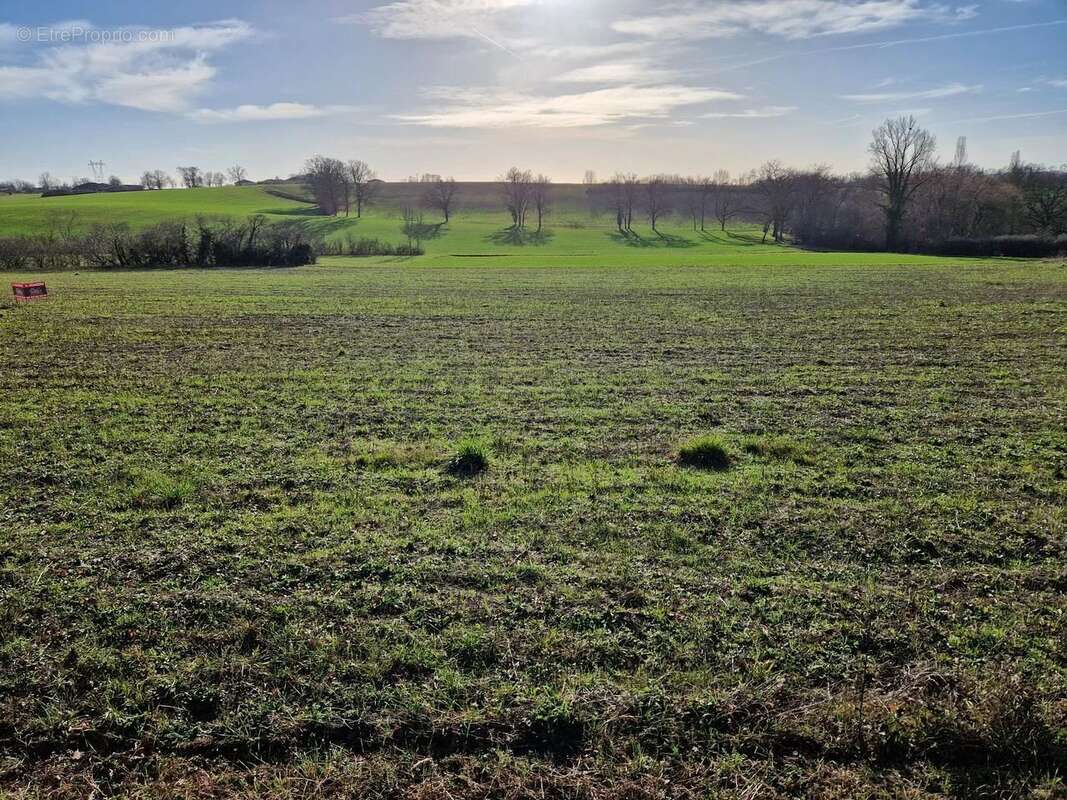 Terrain à SAINT-CIRQ