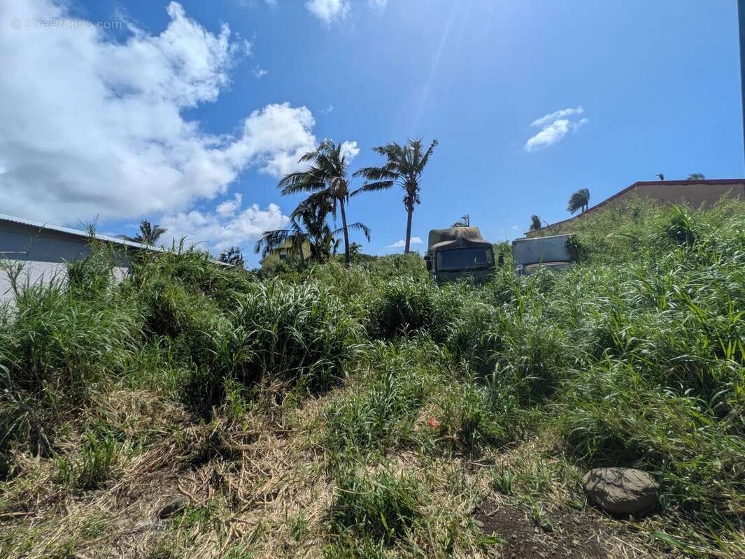 Terrain à SAINT-ANDRE