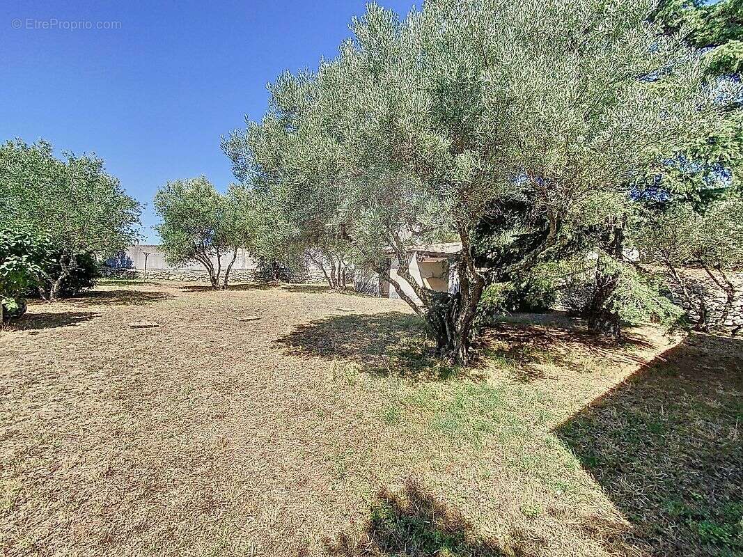 Maison à SAINT-QUENTIN-LA-POTERIE