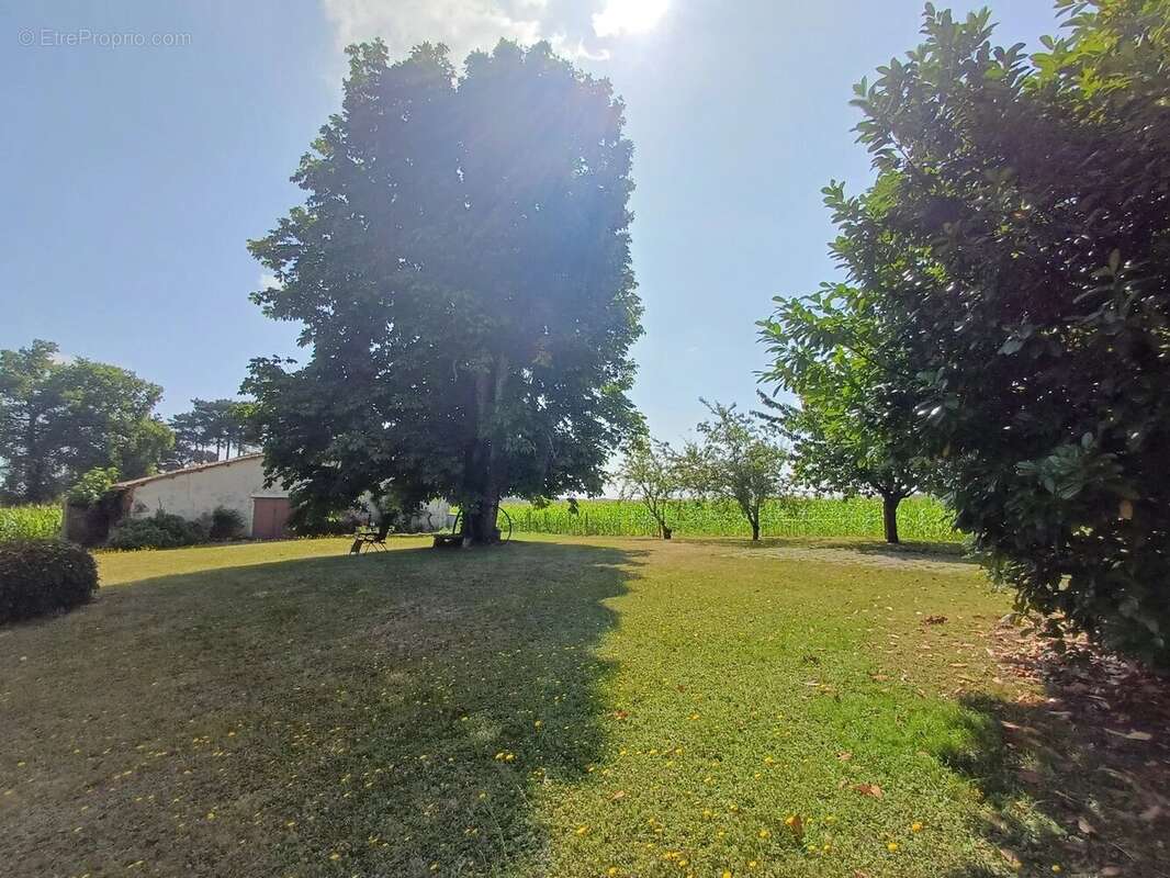 Maison à NIEUL-LE-VIROUIL