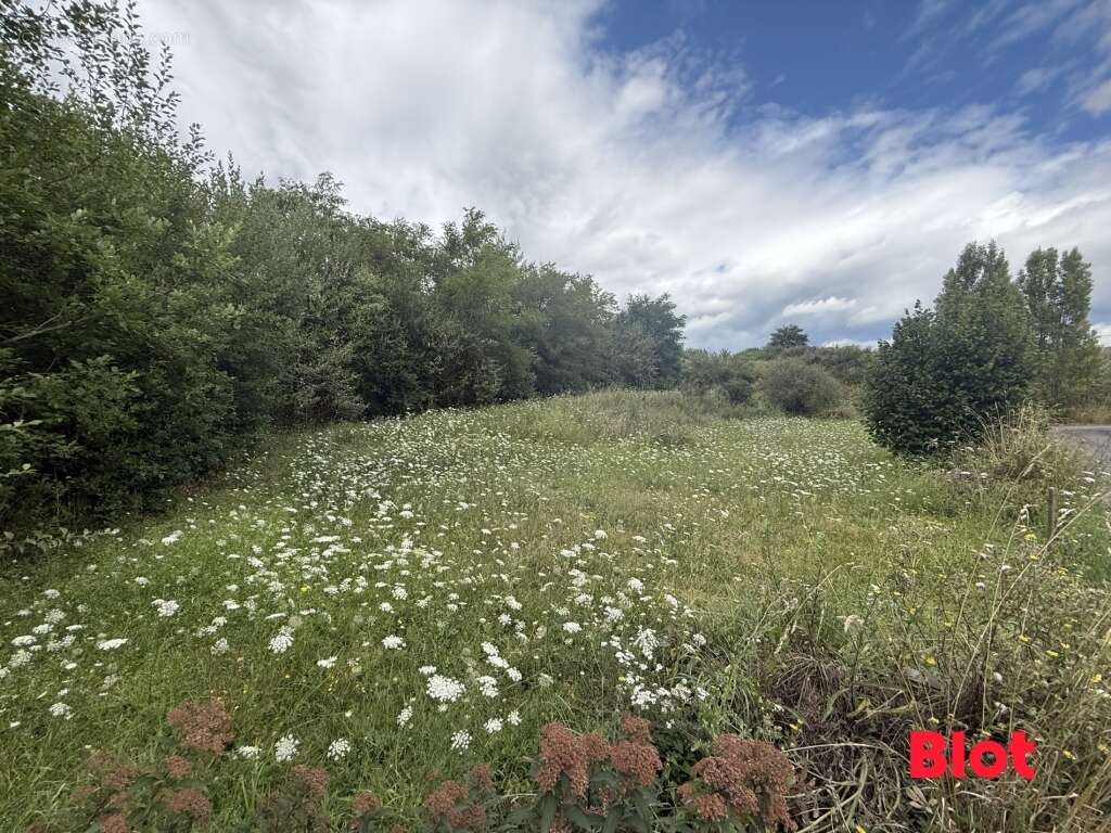 Terrain à CESSON-SEVIGNE