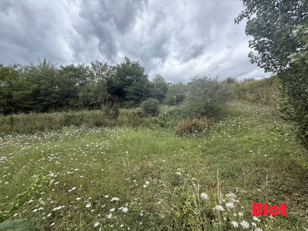 Terrain à CESSON-SEVIGNE