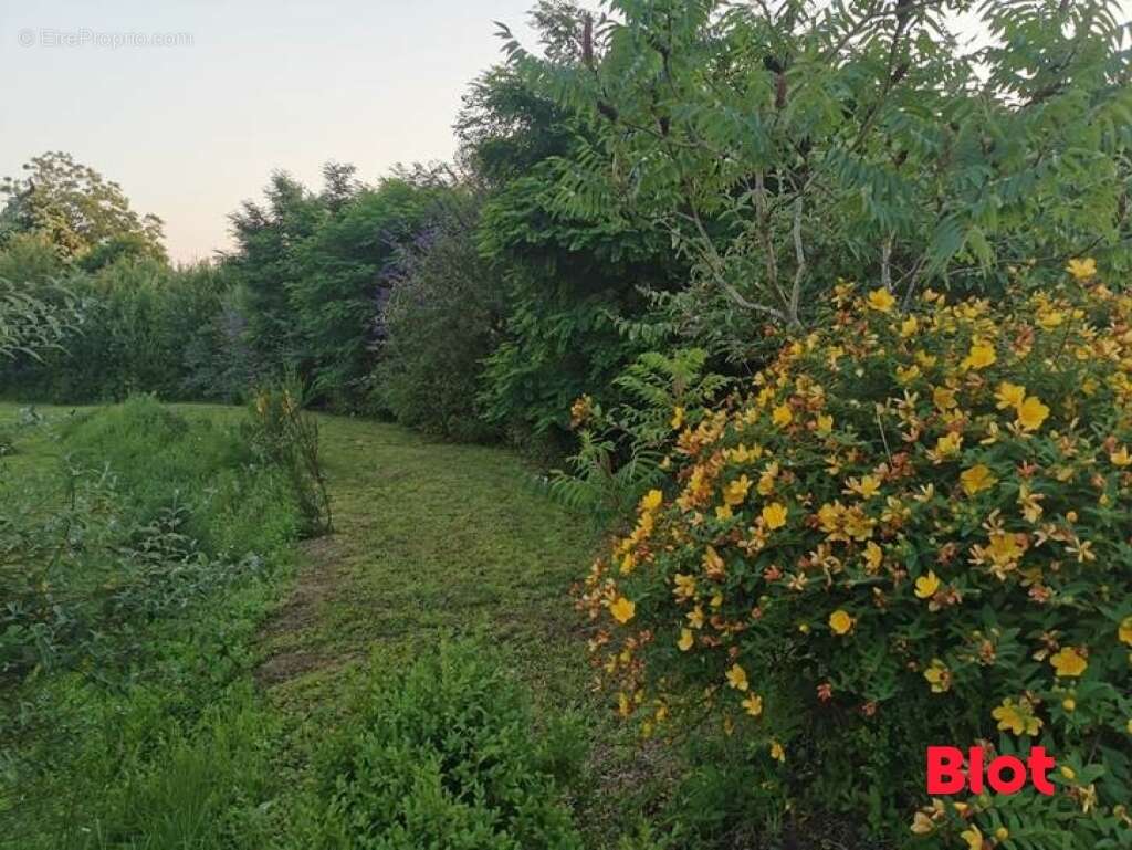 Terrain à CESSON-SEVIGNE