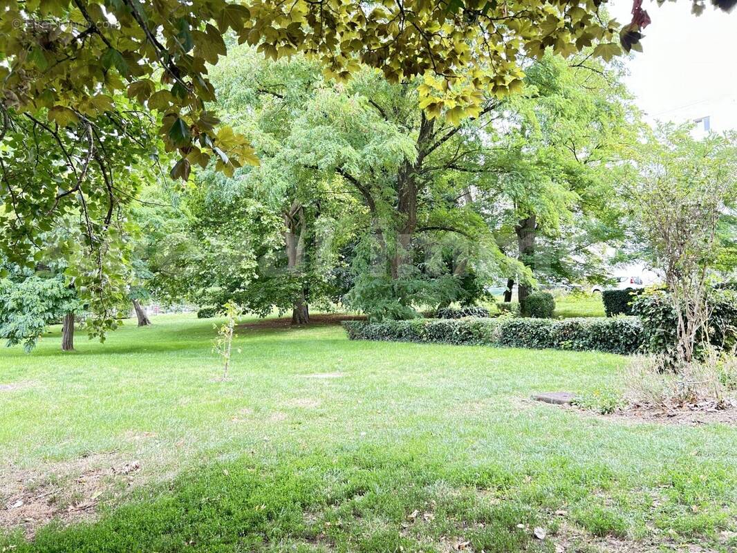 Jardin2 - Appartement à MONTGERON