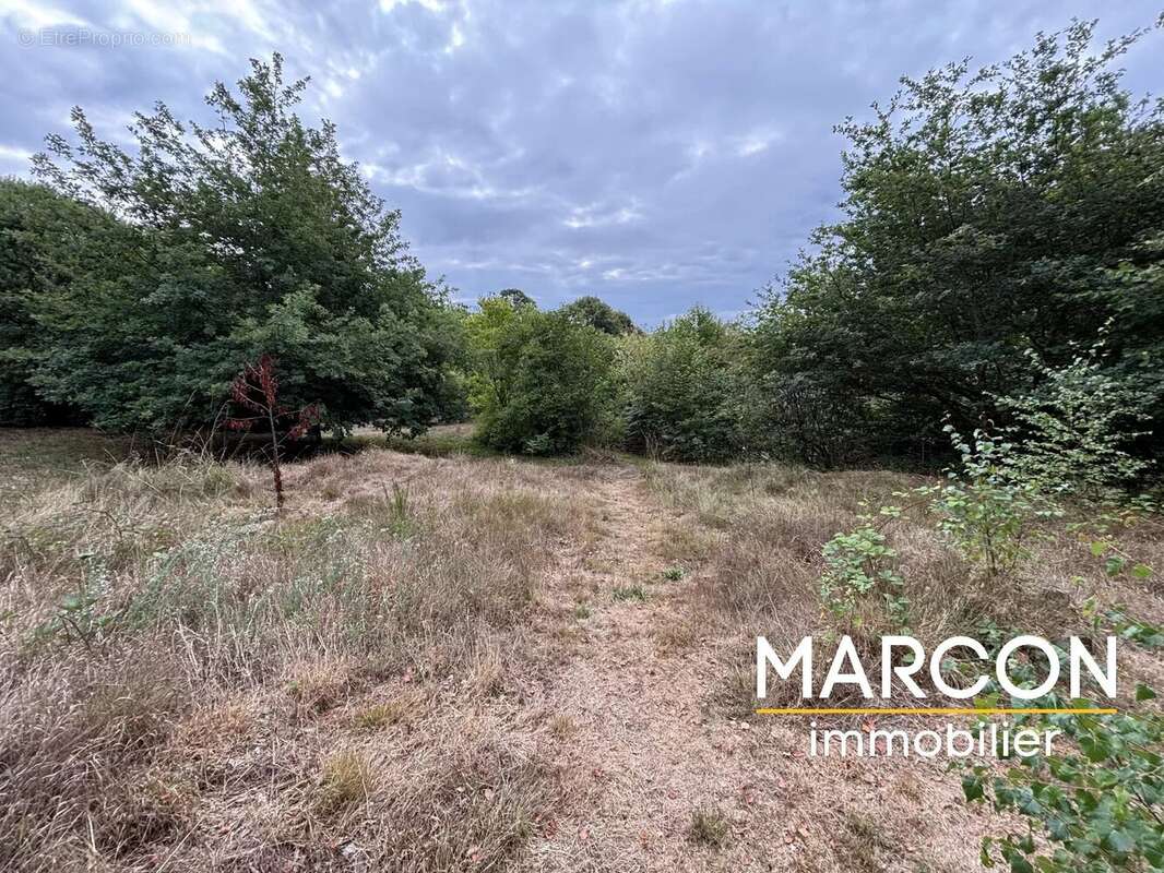 Maison à LE DONZEIL