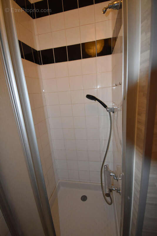 DSC_0055 - Maison à MAGNAC-SUR-TOUVRE