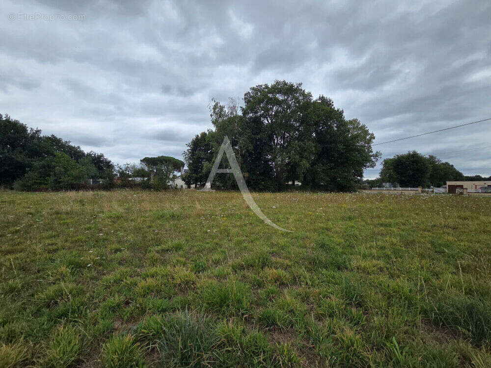 Terrain à GUEMENE-PENFAO