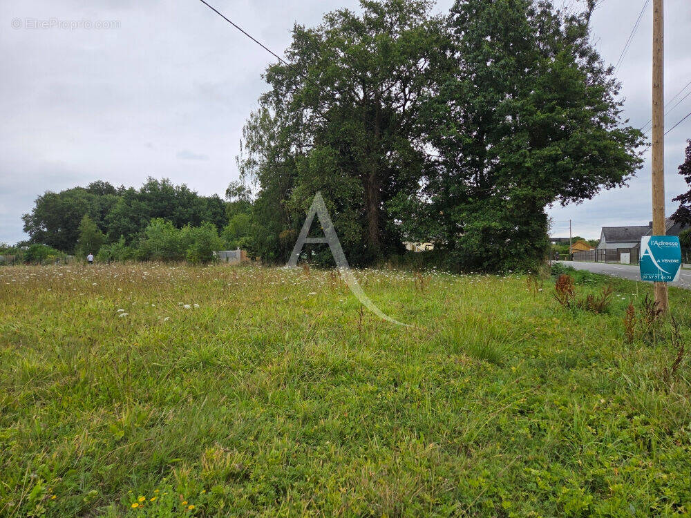 Terrain à GUEMENE-PENFAO
