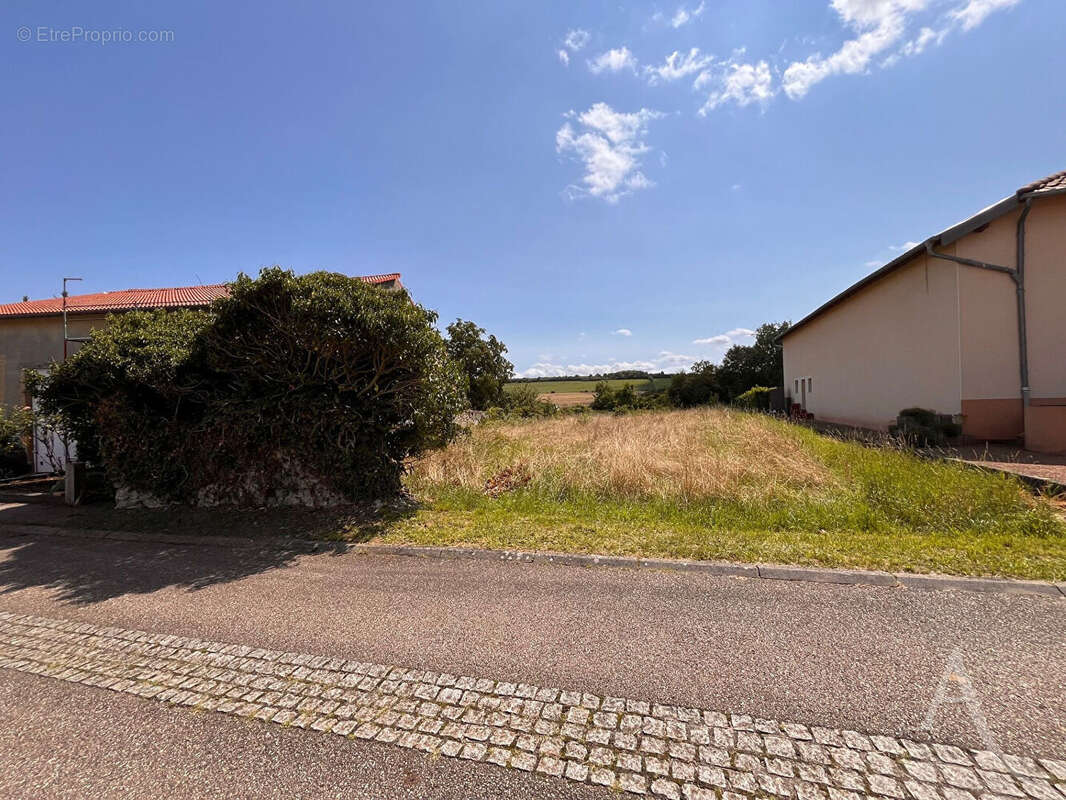 Terrain à SAINTE-BARBE