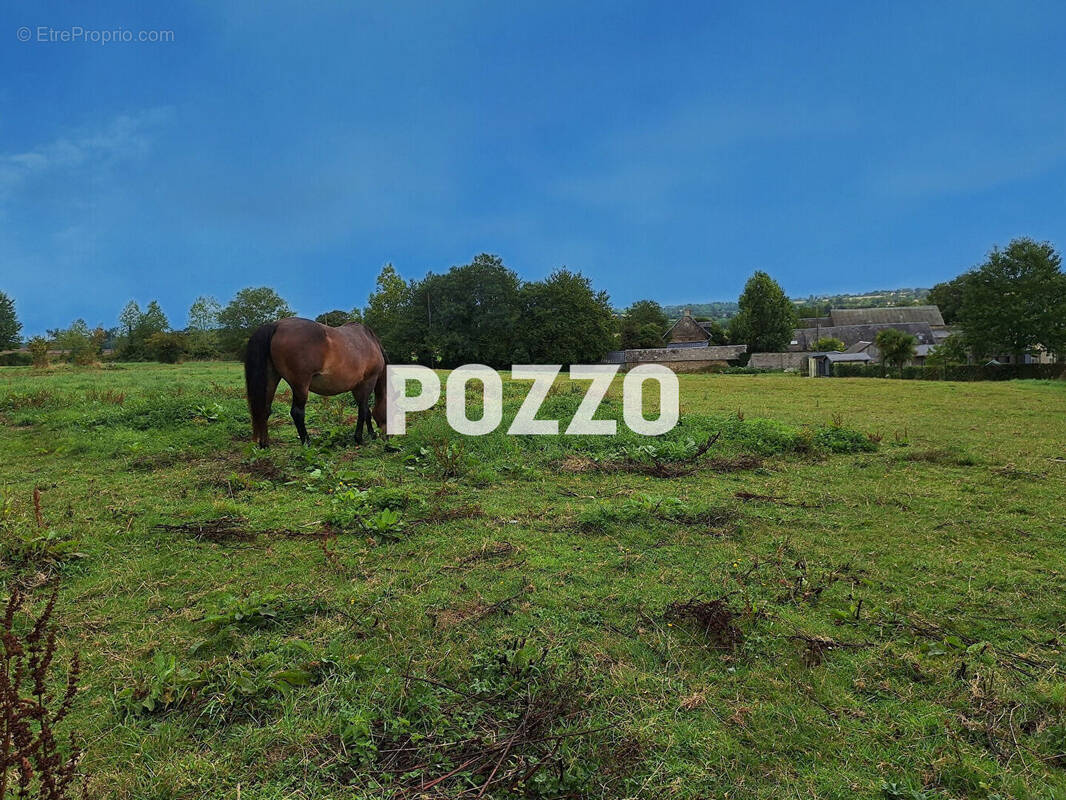 Terrain à ANCTOVILLE