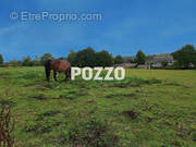 Terrain à ANCTOVILLE