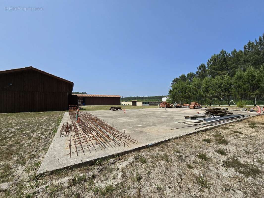 Commerce à SAINT-MICHEL-ESCALUS