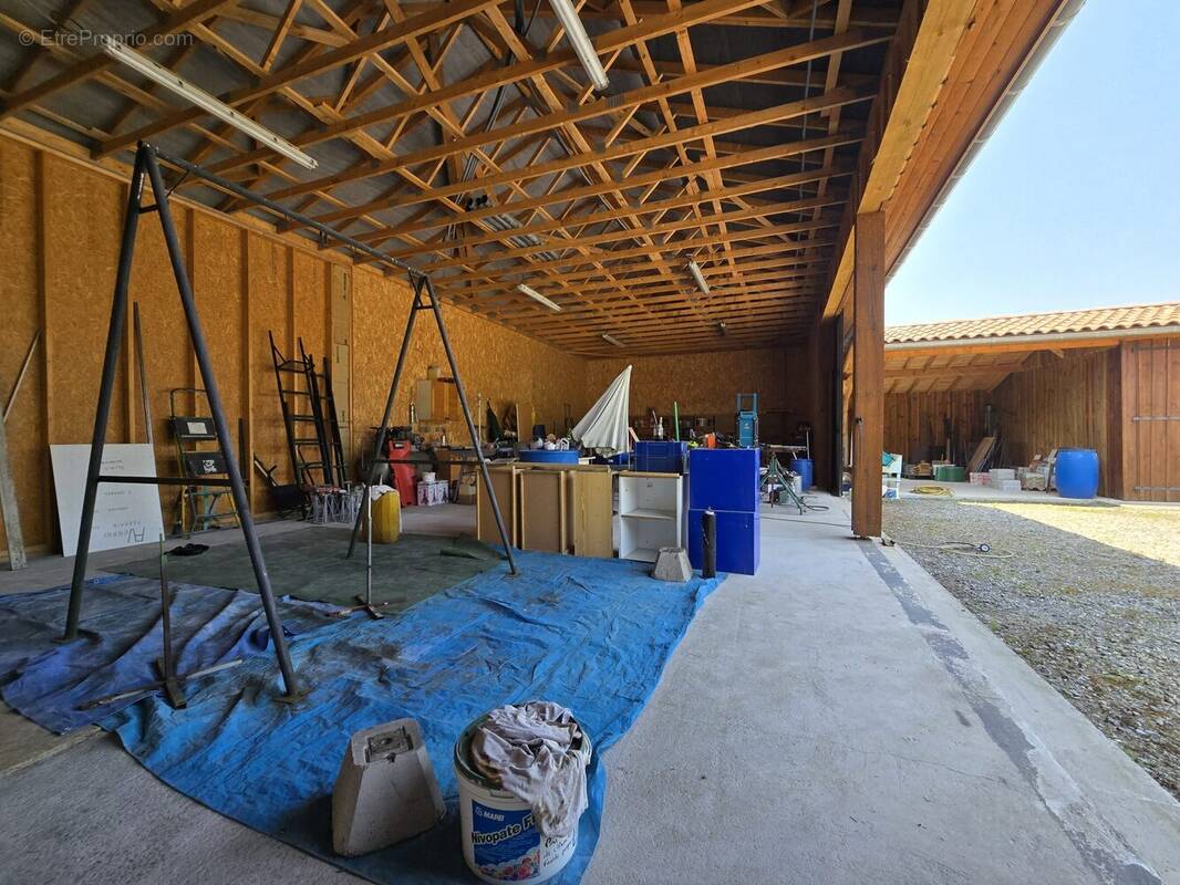 Commerce à SAINT-MICHEL-ESCALUS