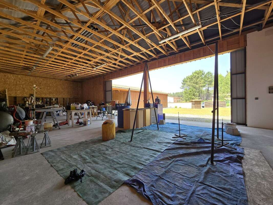 Commerce à SAINT-MICHEL-ESCALUS