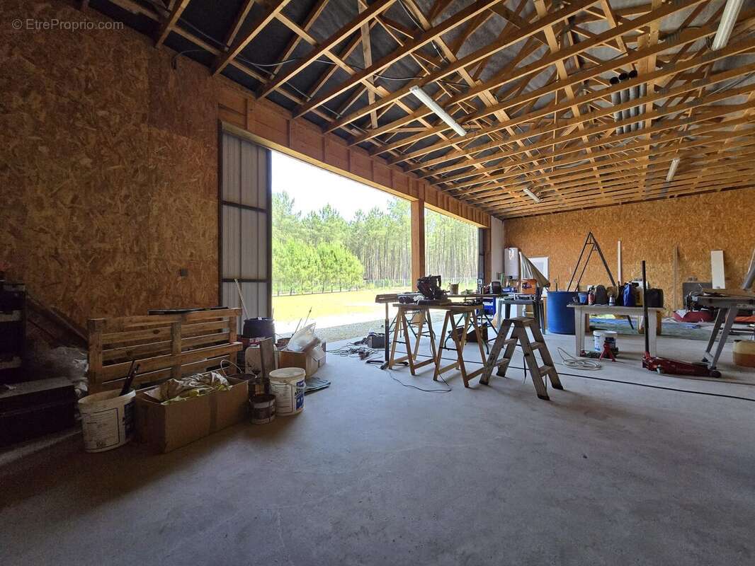 Commerce à SAINT-MICHEL-ESCALUS