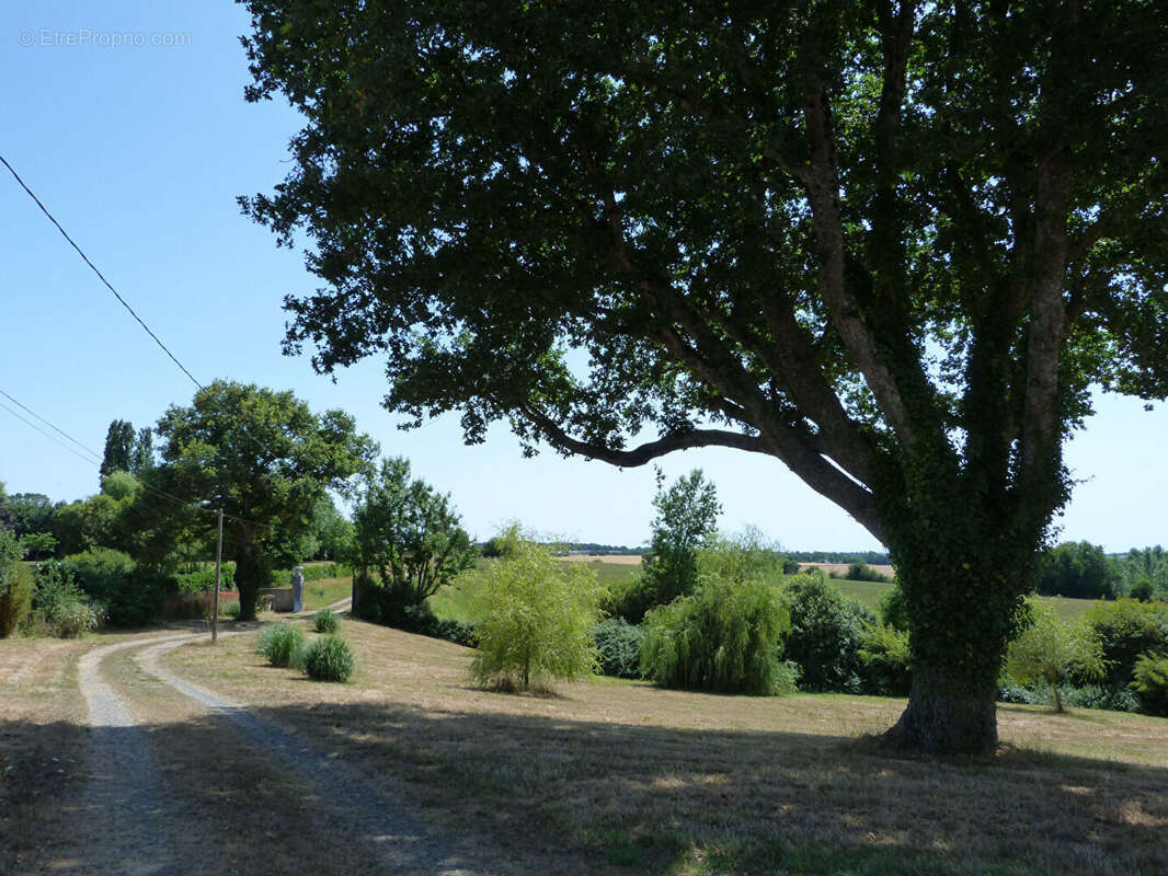 Maison à RUILLE-FROID-FONDS