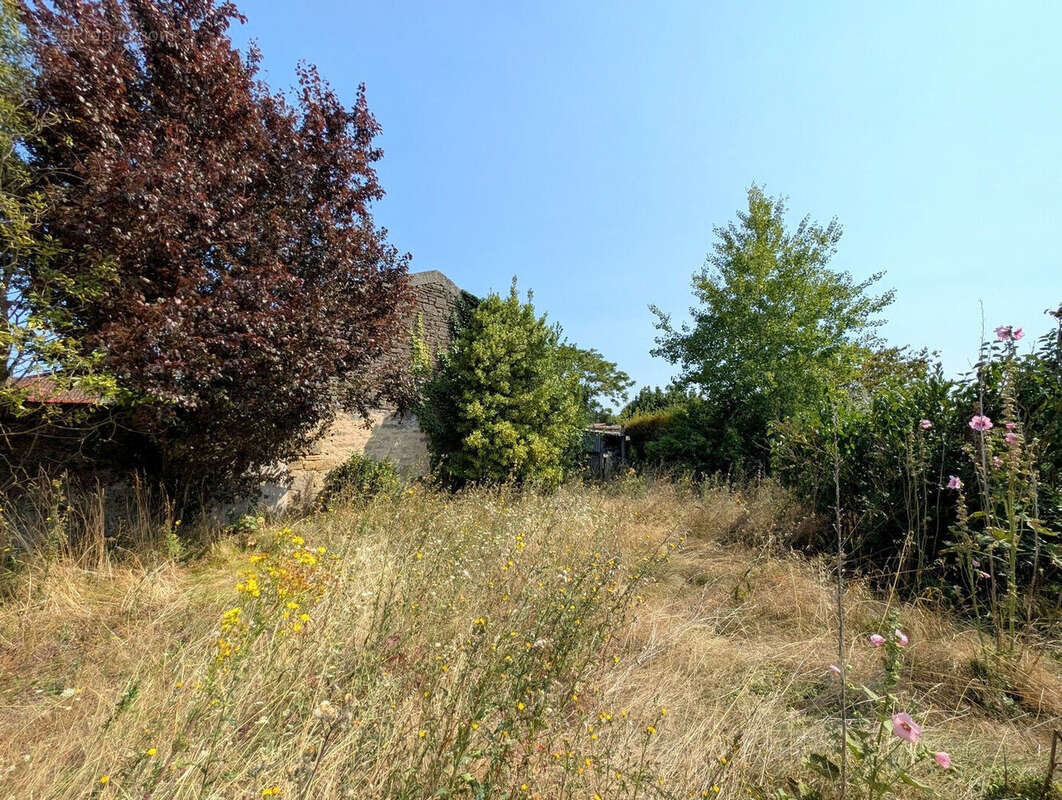 Maison à DOUE-LA-FONTAINE