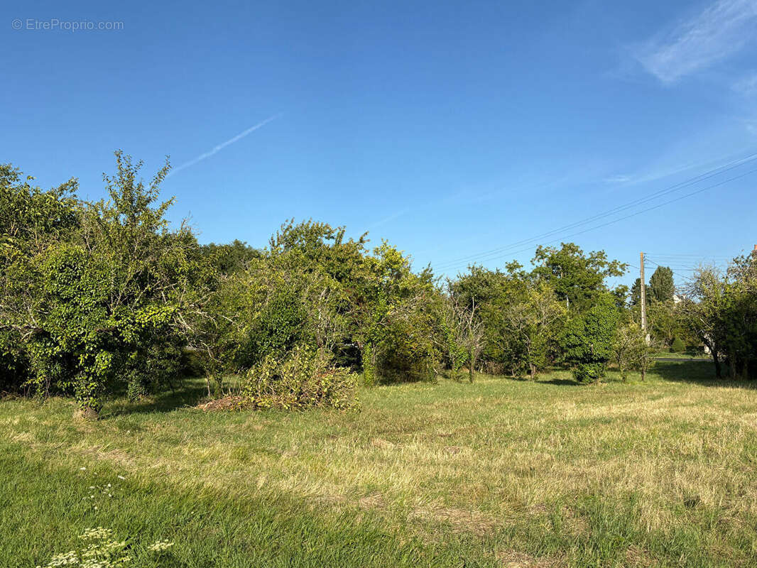 Terrain à GENNES