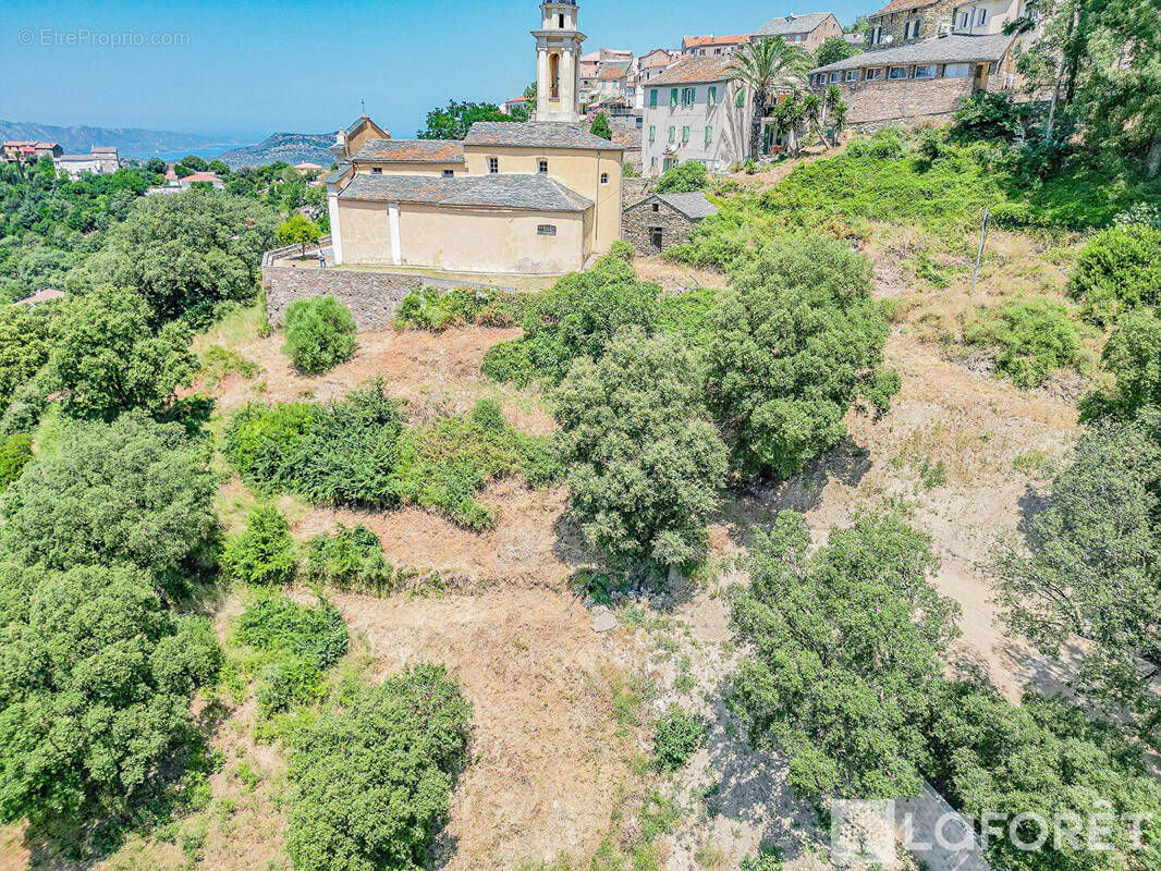 Terrain à POGGIO-D&#039;OLETTA