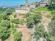 Terrain à POGGIO-D&#039;OLETTA