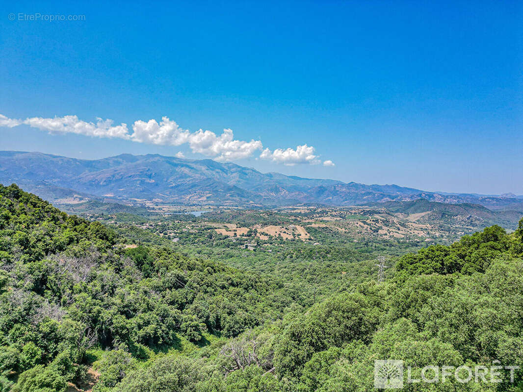Terrain à POGGIO-D&#039;OLETTA