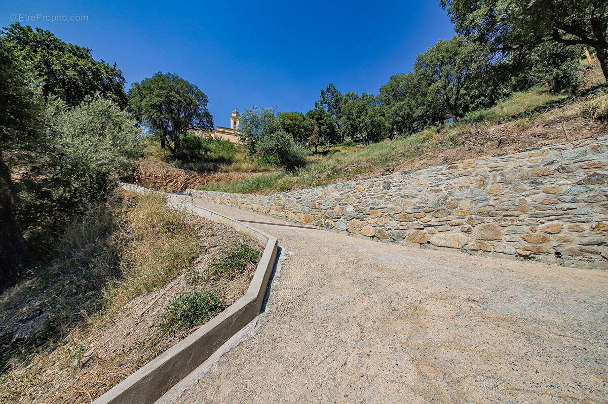 Terrain à POGGIO-D&#039;OLETTA