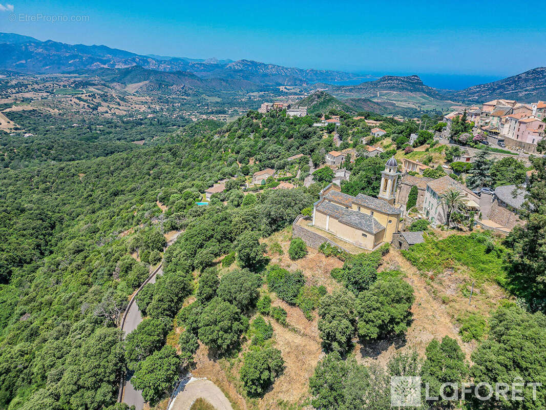 Terrain à POGGIO-D&#039;OLETTA