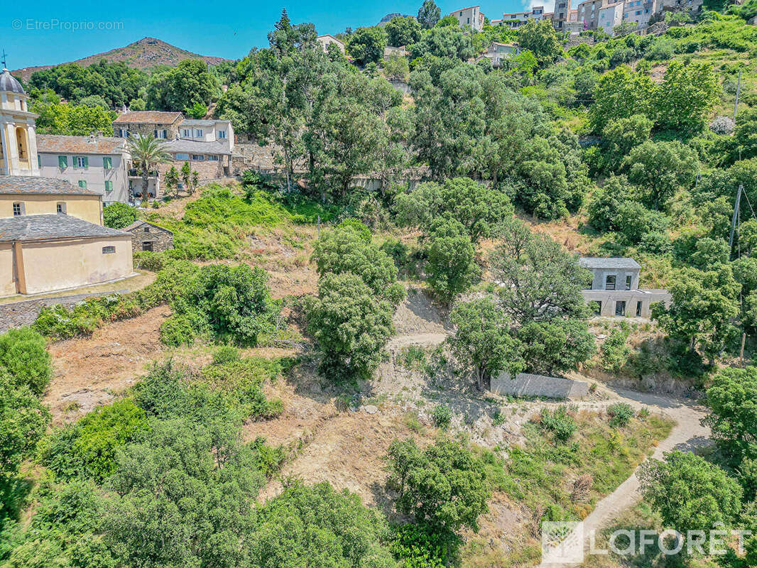 Terrain à POGGIO-D&#039;OLETTA