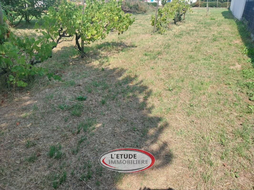 Photo 1 - Terrain à SAINTE-PAZANNE