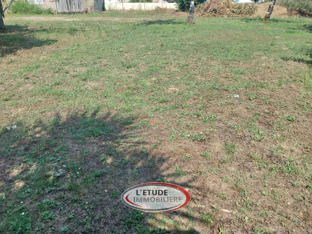 Photo 3 - Terrain à SAINTE-PAZANNE