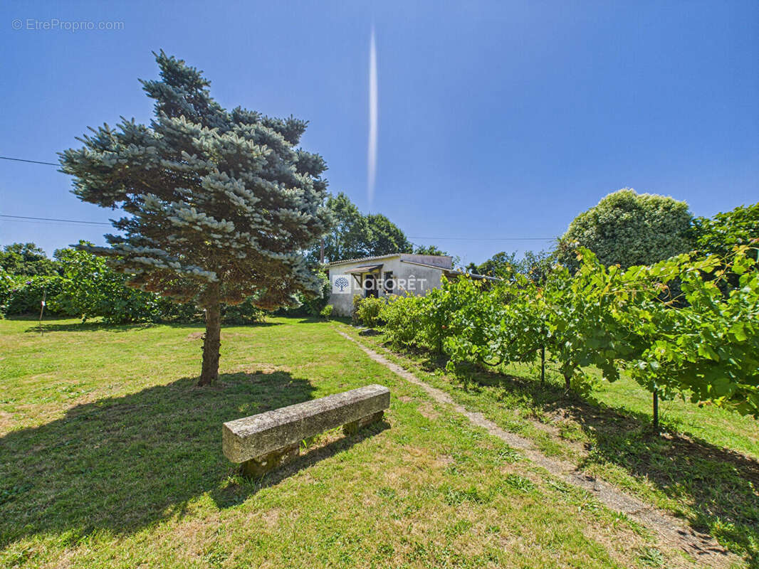 Maison à CHATEAUNEUF-DU-FAOU