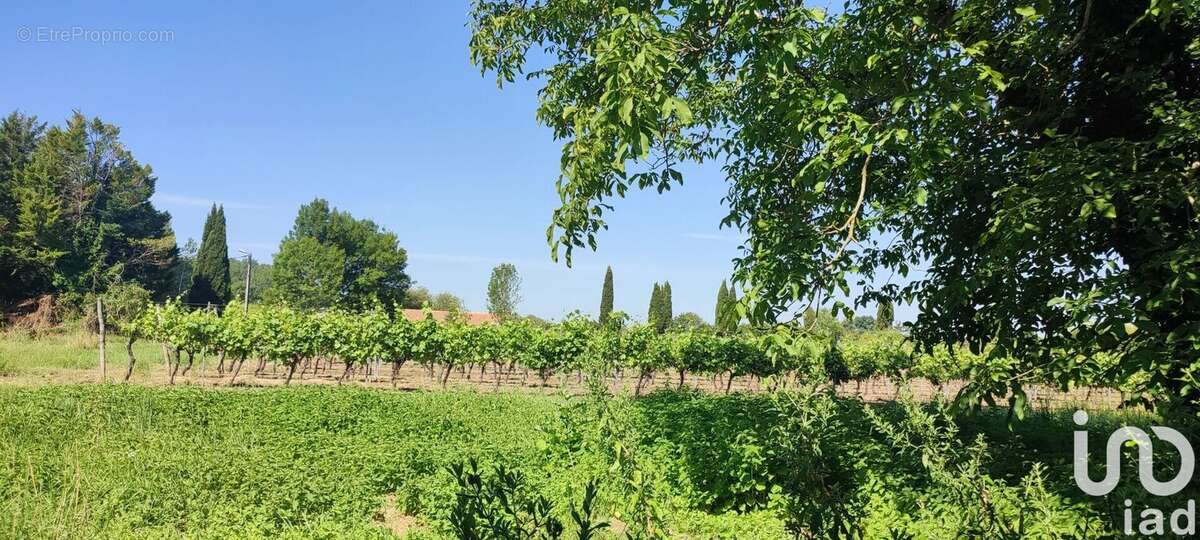 Photo 9 - Maison à MIGRON