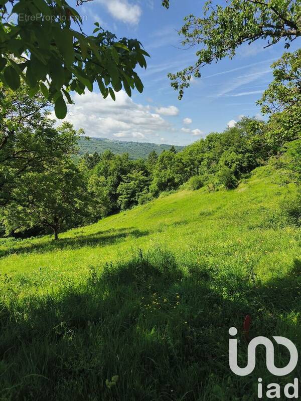 Photo 1 - Terrain à BEYNAT
