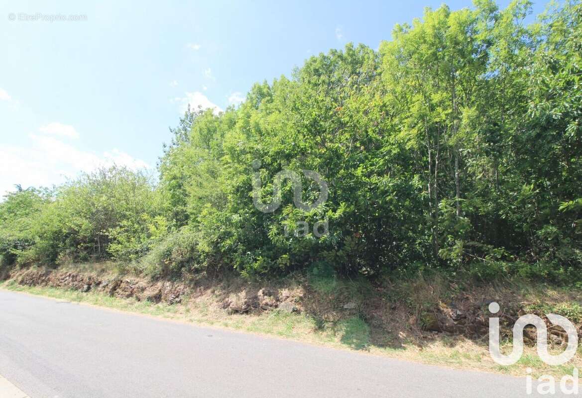 Photo 3 - Terrain à VIALA-DU-TARN