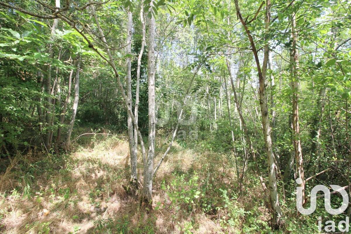 Photo 4 - Terrain à VIALA-DU-TARN