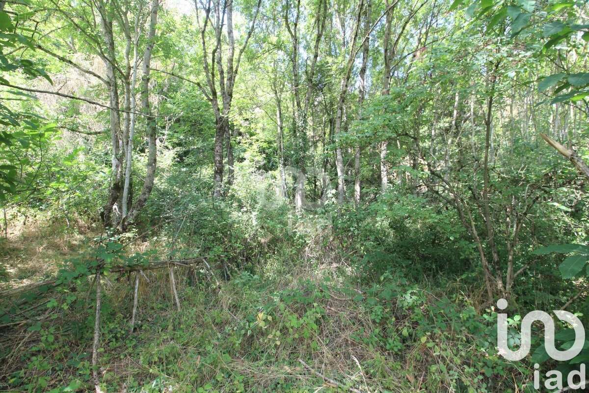 Photo 8 - Terrain à VIALA-DU-TARN