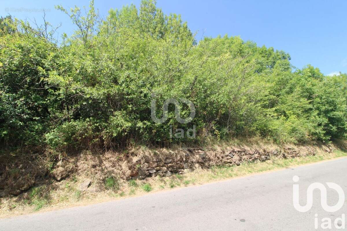 Photo 9 - Terrain à VIALA-DU-TARN