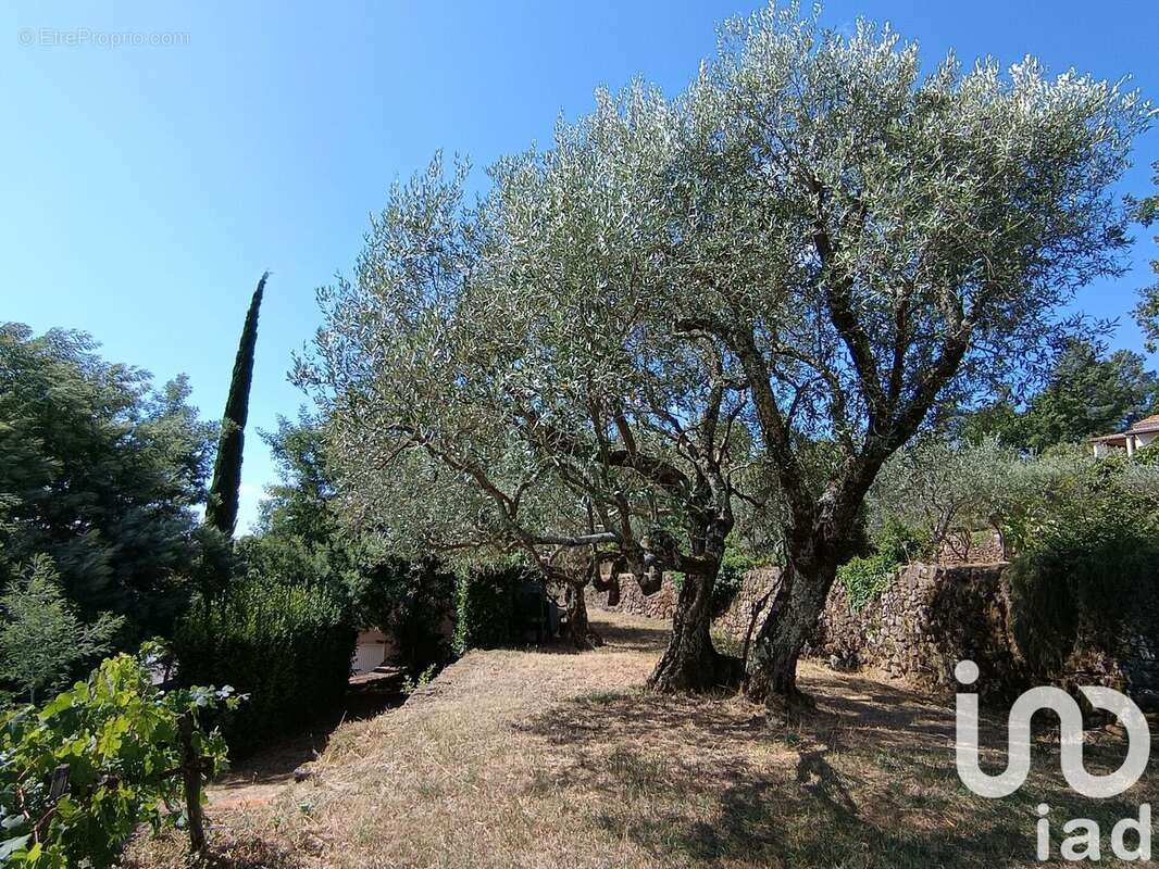 Photo 9 - Maison à JOYEUSE