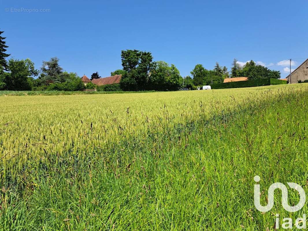 Photo 2 - Terrain à BESSON