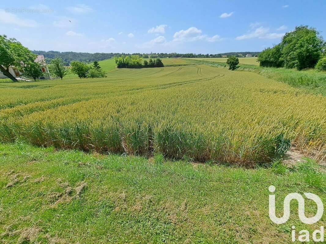 Photo 3 - Terrain à BESSON
