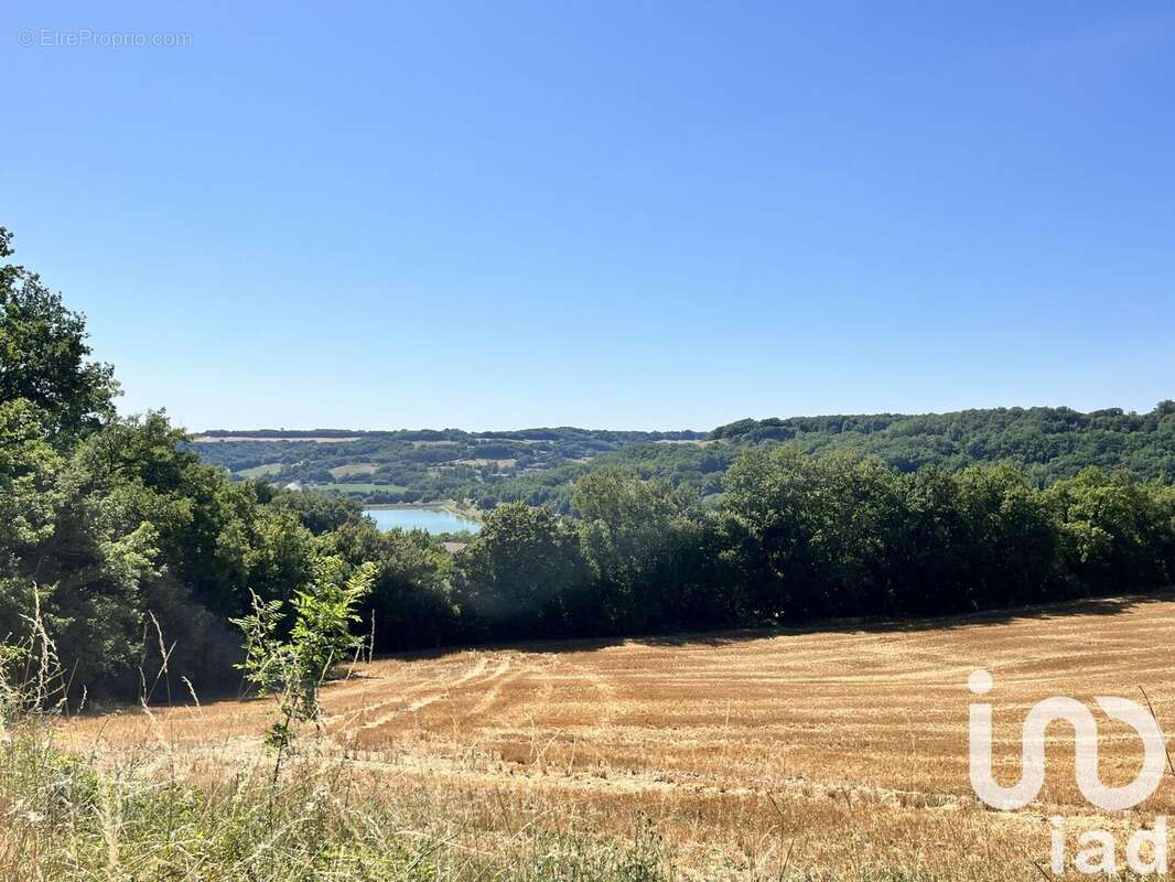 Photo 3 - Maison à LAROQUE-TIMBAUT