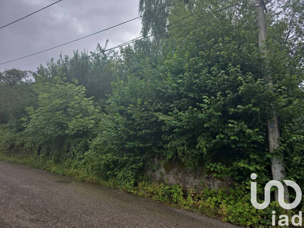 Photo 1 - Terrain à CHATEL-SAINT-GERMAIN