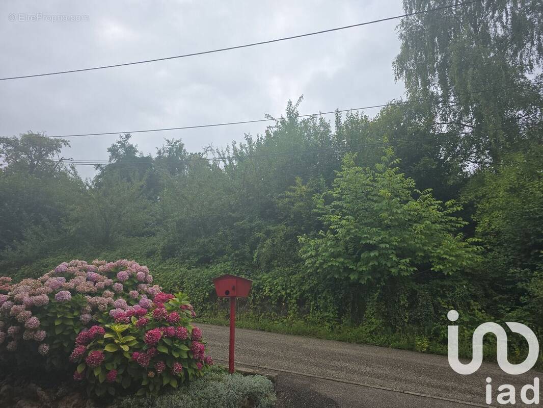 Photo 2 - Terrain à CHATEL-SAINT-GERMAIN