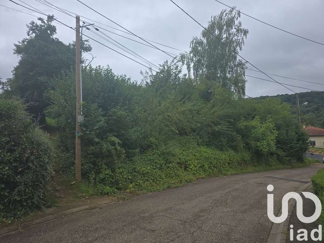 Photo 4 - Terrain à CHATEL-SAINT-GERMAIN