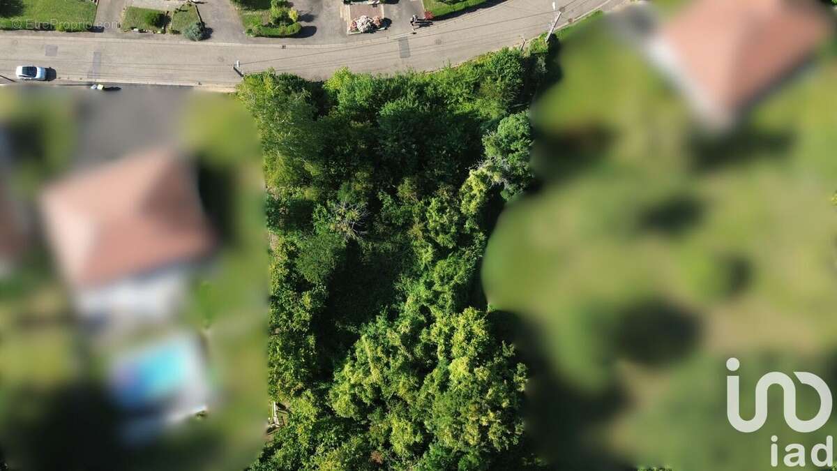 Photo 6 - Terrain à CHATEL-SAINT-GERMAIN