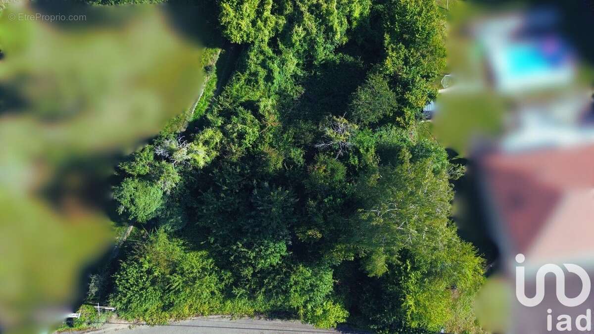 Photo 7 - Terrain à CHATEL-SAINT-GERMAIN