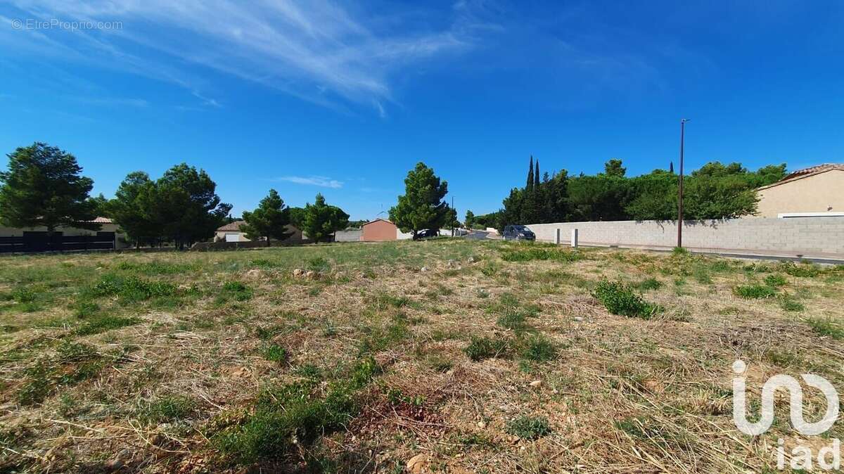 Photo 2 - Terrain à LA PALME