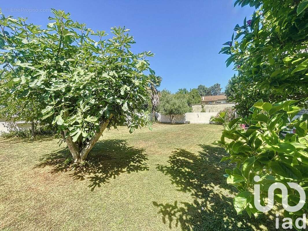 Photo 4 - Maison à VIC-EN-BIGORRE